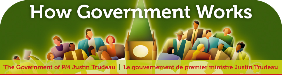 How Government Works